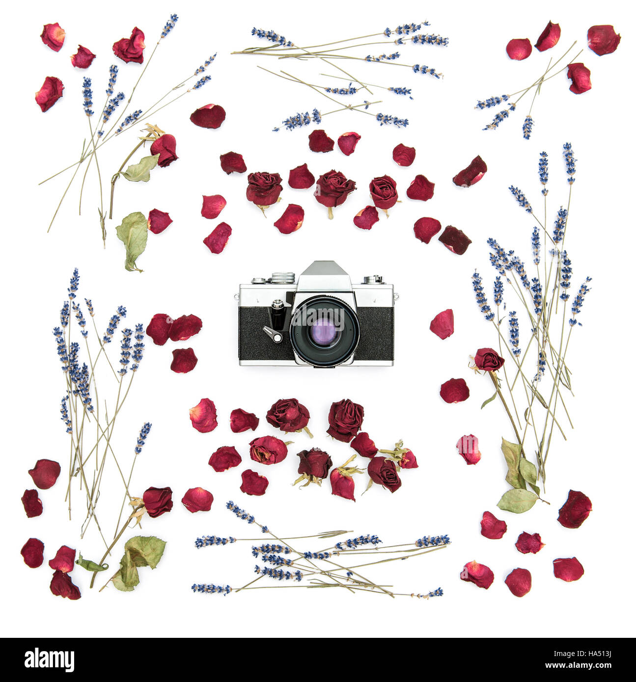 Vintage Filmkamera. Blumenrahmen mit Rosen und Lavendel Blumen. Flache Laien Hintergrund. Getrocknete Pflanzen Stockfoto