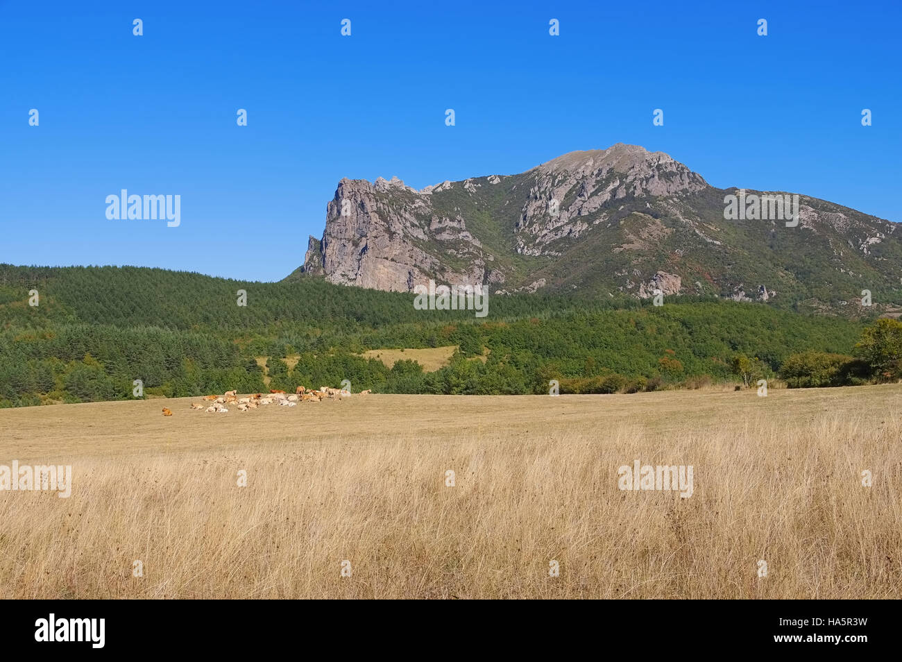 Pic de Bugarach Im Süden Frankreichs, Corbières - Pic de Bugarach in Südfrankreich, Corbieres Stockfoto