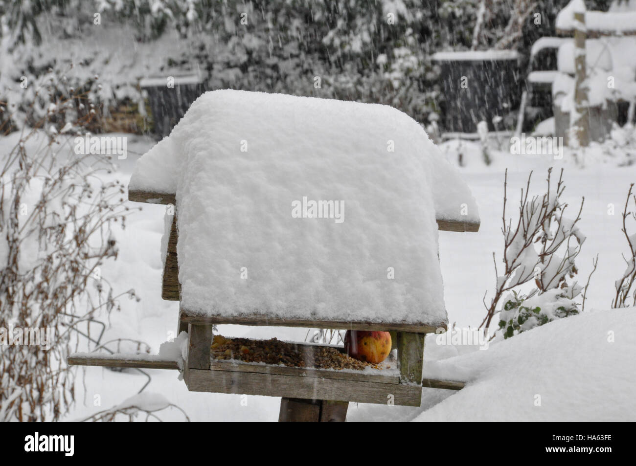 Ein Schnee bedeckten Vogelhaus bei fallenden Schnee mit Essen im Cotswold Garten erwartet Stockfoto