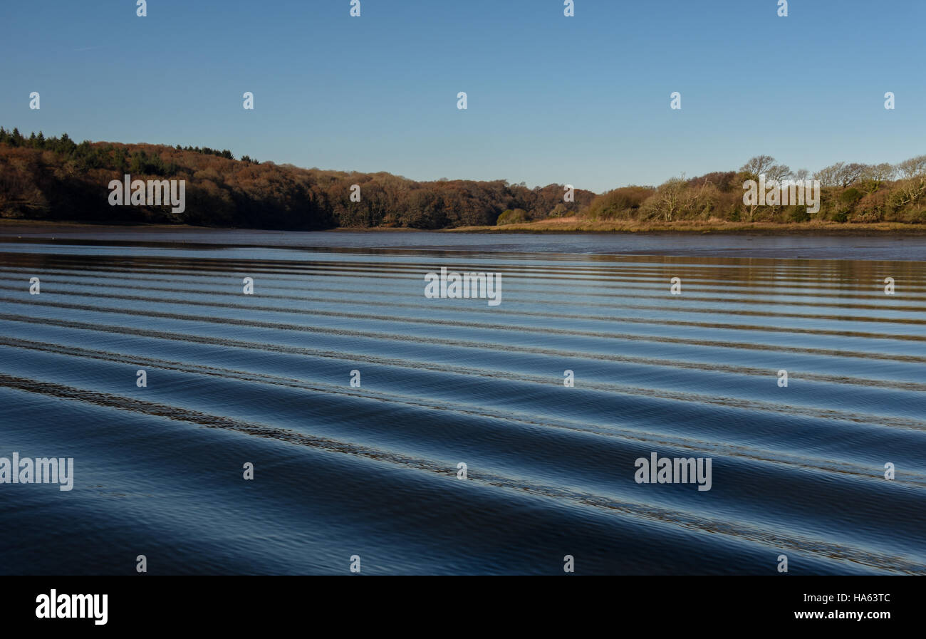 Boot Wake auf geriffelten Blauwasser mit Bäumen am Ufer hinter ein interessantes Muster der Wellen erstellen. Stockfoto