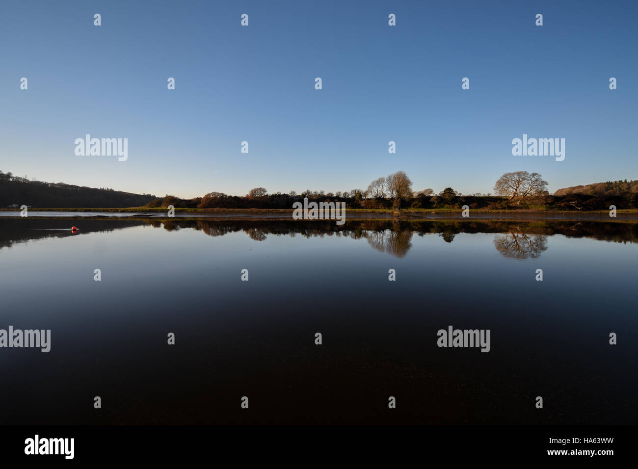 Blauer Himmel und Bäume spiegeln sich in vollkommen ruhig Wasser Stockfoto