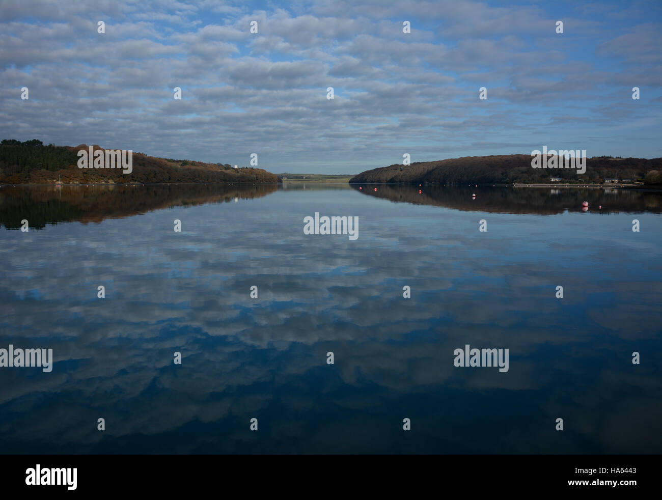 Perfekte Spiegelung der Winterhimmel mit leichten Wolken und den Ufern des oberen Cleddau in das dunkle Wasser Stockfoto