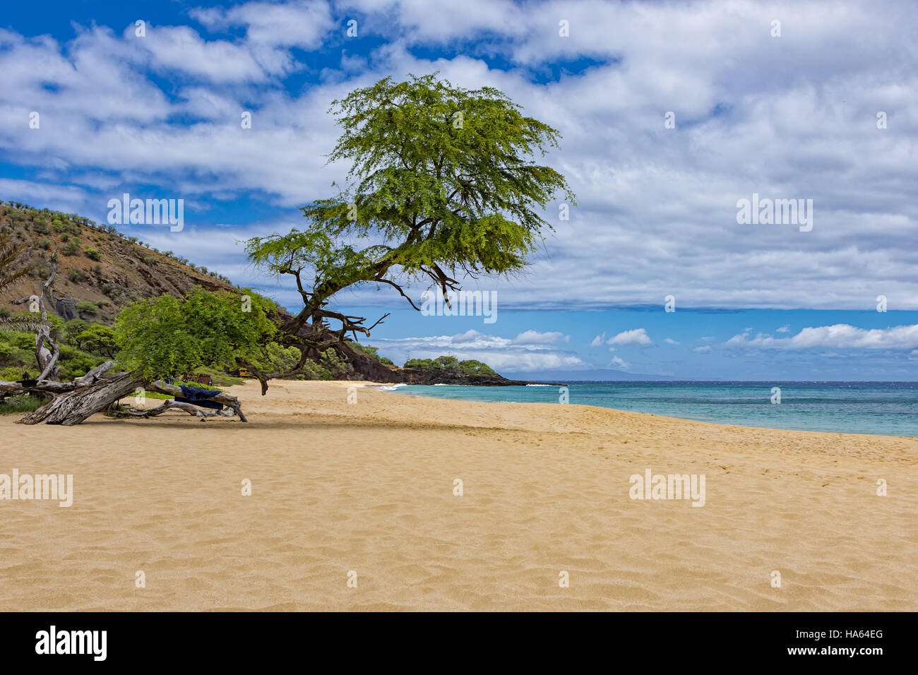 Makena Big Beach in der Nähe von Wailea Maui Hawaii USA an einem sonnigen Tag mit blauem Wasser Stockfoto