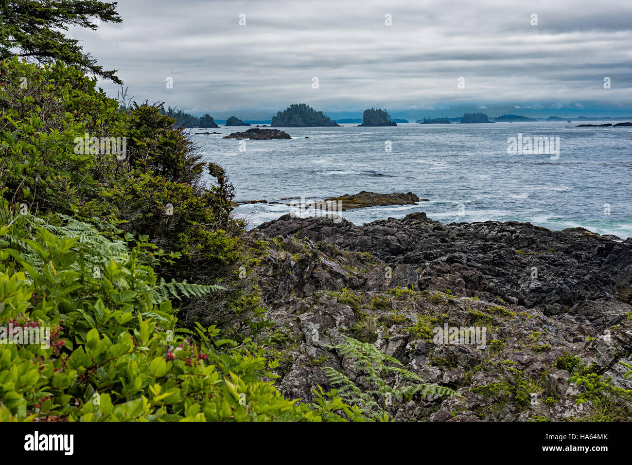 Westküste Vancouver Island in der Nähe von Ucluelet British Columbia Kanada Wild Pacific Trail mit Broken Group Islands im Hintergrund Stockfoto