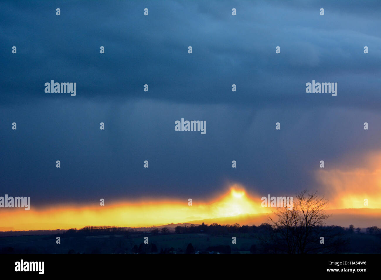 Dramatische Cotswolds winter Szene mit goldenen Sonnenuntergang unter tiefblauem Regen gefüllten Wolken mit einem Silhouette Baum auf einem Hügel Stockfoto