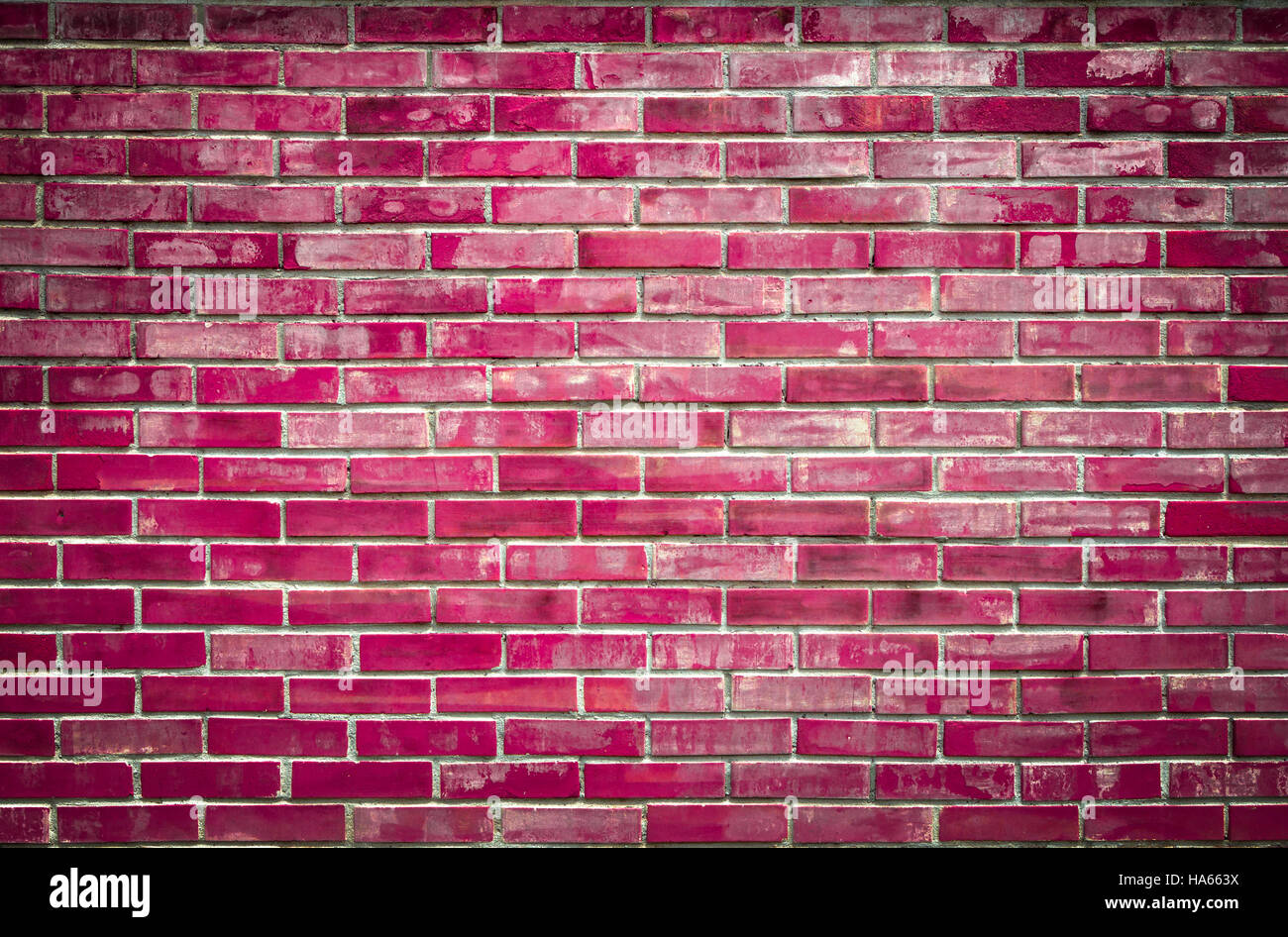 Leuchtend bunte rosa Ziegelmauer Stockfoto