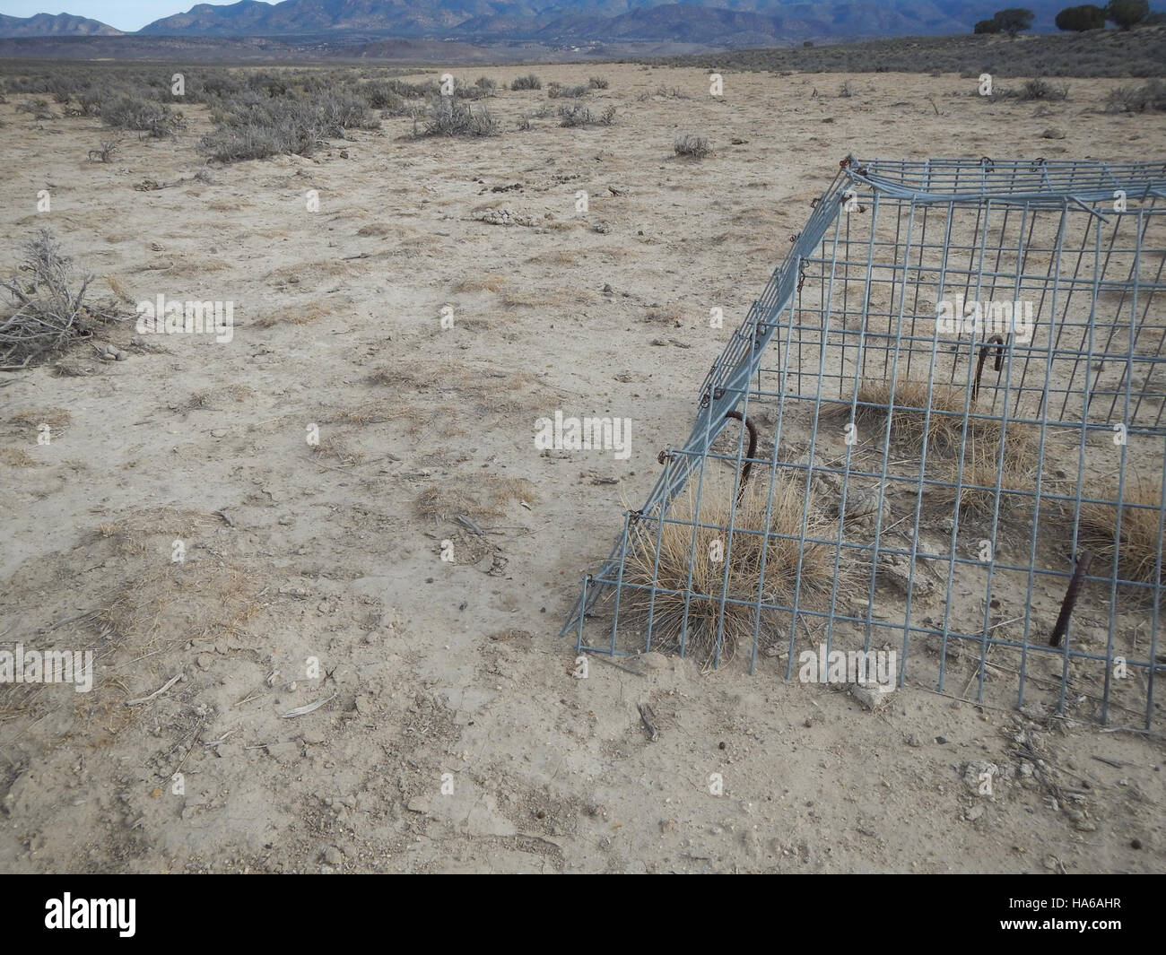 Eine Veranstaltung des Bureau of Land Management (BLM) in Nevada konzentriert sich auf Landmanagement, Ressourcenschutz und öffentliches Engagement für die nachhaltige Nutzung von Bundesland. Stockfoto