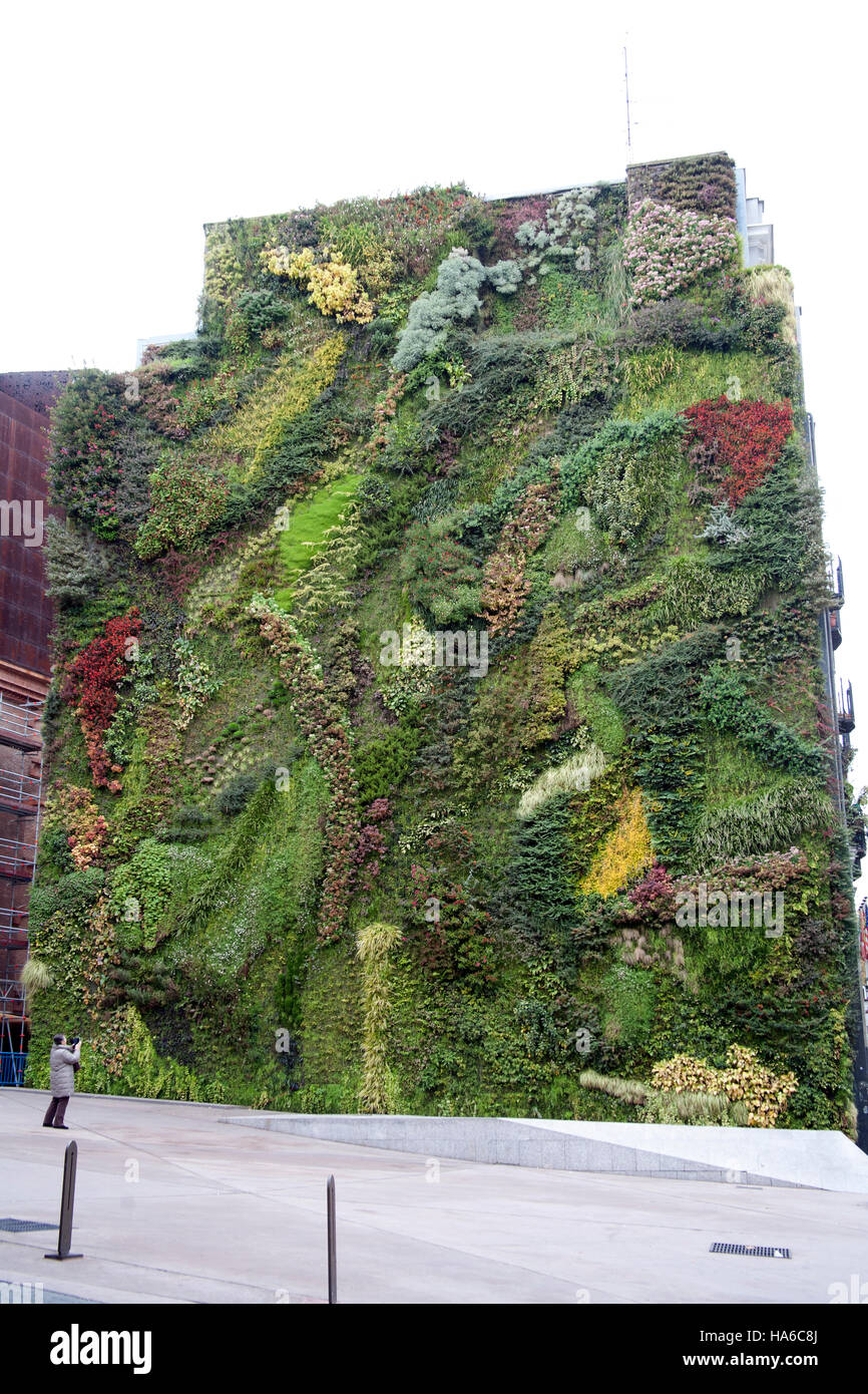 Patrick Blancs Vertical Garden CaixaForum, Madrid Spanien Stockfoto