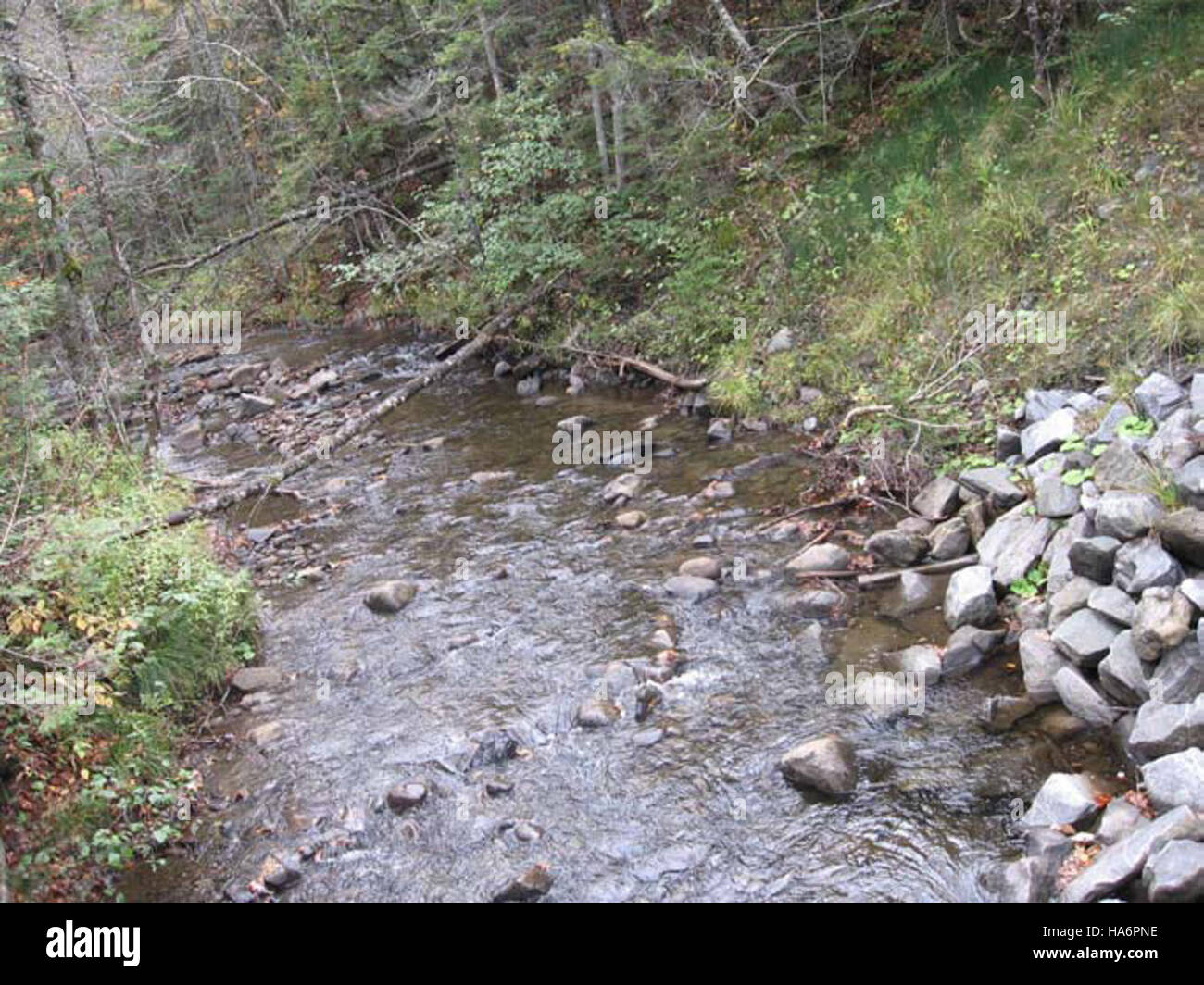 Das Lake Champlain Fish and Wildlife Resource Office betreibt Naturschutzmaßnahmen am Great Brook, wobei der Schwerpunkt auf aquatischen Lebensräumen und dem Artenmanagement liegt. Stockfoto