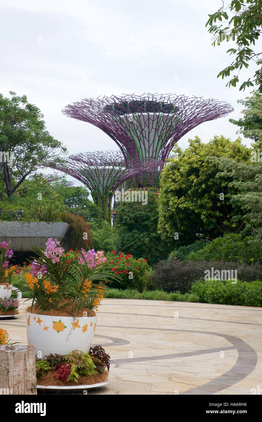 Singapur - 23. Juli 2016: Tagesansicht von The Supertree Grove Gardens an der Bucht. Spanning 101 Hektar, und fünf Gehminuten von der MRT-Station Bayfront. Stockfoto