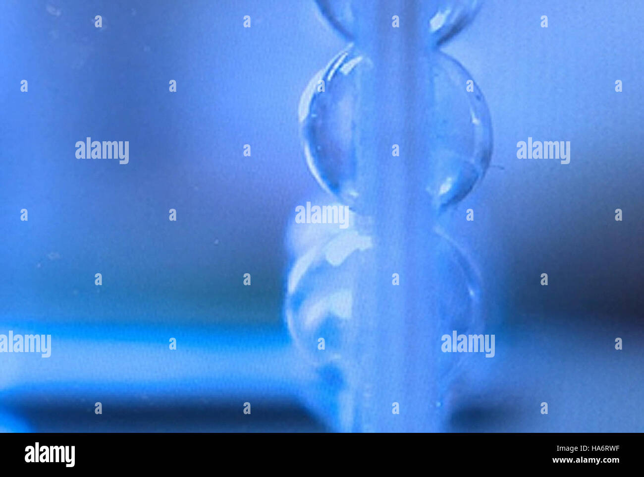 Dieses Bild zeigt künstliches Lungengewebe, das von Wissenschaftlern des Los Alamos National Laboratory entwickelt wurde. Das Gewebe ist Teil der laufenden Forschung in der Biotechnologie und biomedizinischen Technik, wobei der Schwerpunkt auf Fortschritte in der medizinischen Behandlung und der Respirationstechnik liegt. Stockfoto