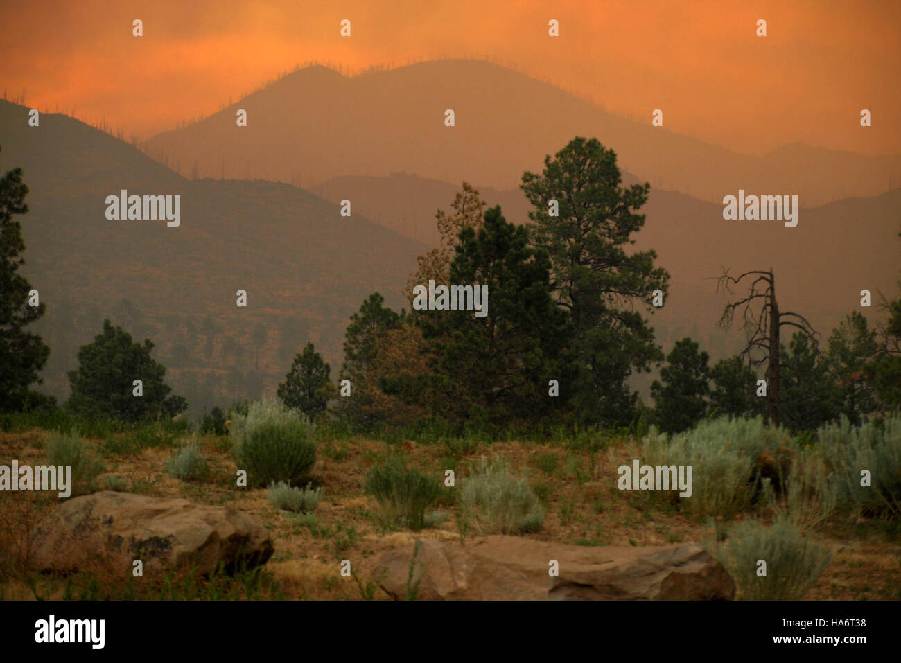 Das Bild dokumentiert einen erheblichen Brand im Los Alamos National Laboratory, New Mexico, der am 27. Juni 2011 ausbrach. Der Brand wurde schnell eingedämmt, aber es zeigt die anhaltenden Herausforderungen bei der Verwaltung großer, hochsicherer Forschungseinrichtungen. Stockfoto