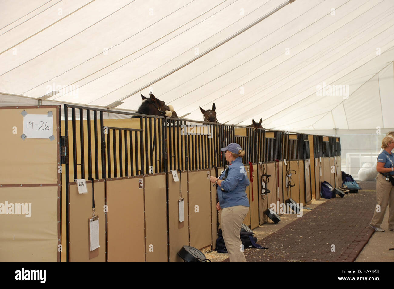 Ein Foto, das hohe Gewölbe während der Quarantäne an einem Flughafen zeigt, wahrscheinlich im Zusammenhang mit dem Transport von Pferden für die Weltreiterspiele. Das Bild zeigt die Vorbereitung und Pflege des Pferdetransports für globale Wettkämpfe. Stockfoto Ein Foto, das hohe Gewölbe während der Quarantäne an einem Flughafen zeigt, wahrscheinlich im Zusammenhang mit dem Transport von Pferden für die Weltreiterspiele. Das Bild zeigt die Vorbereitung und Pflege des Pferdetransports für globale Wettkämpfe. Stockfoto