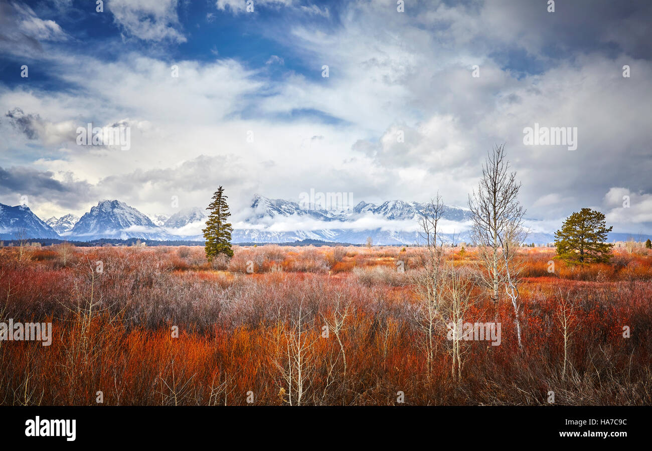 Herbstlandschaft in Grand Teton Nationalpark, Wyoming, USA. Stockfoto