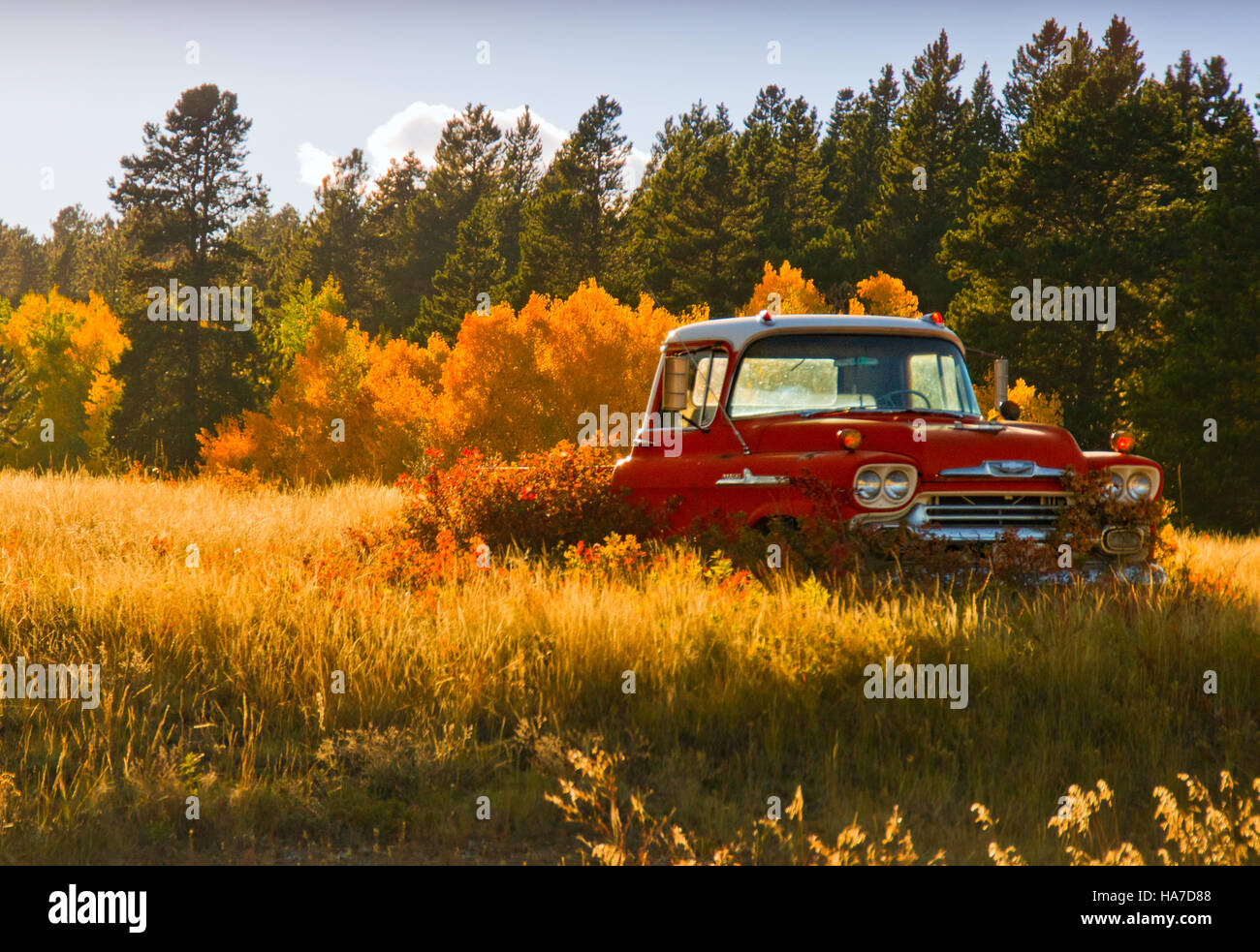 Ein 1958 Chevy Pickup sitzt im Leerlauf und vergessene außerhalb der Innenstadt Colorado im Herbst Stockfoto