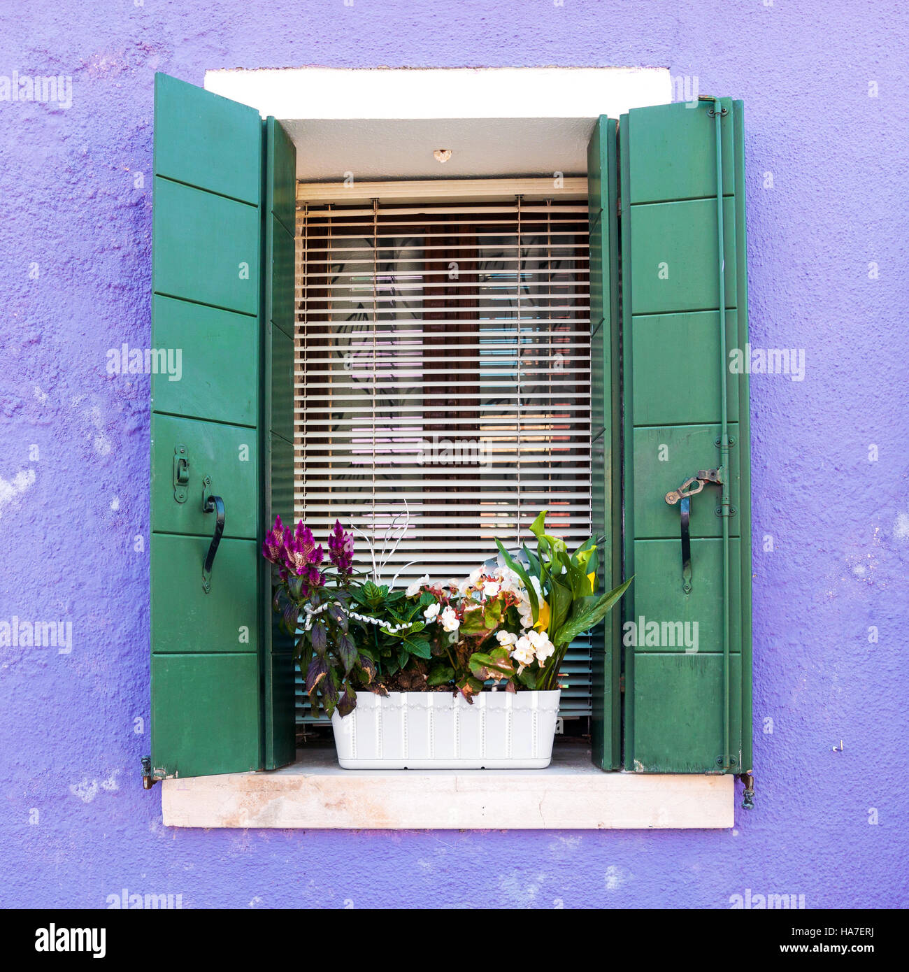 Bunte Fenster mit offenen Fensterläden und Blumentopf auf der venezianischen Insel Burano Stockfoto