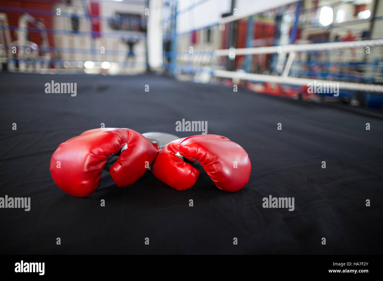 Rote Handschuhe im Boxring Stockfoto