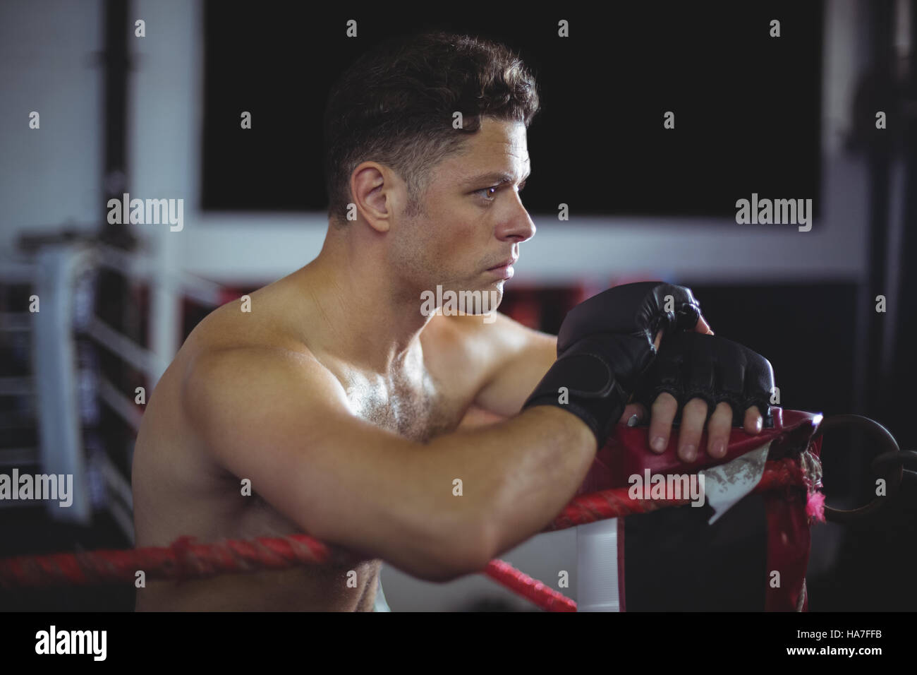 Boxer, stützte sich auf Boxring Stockfoto