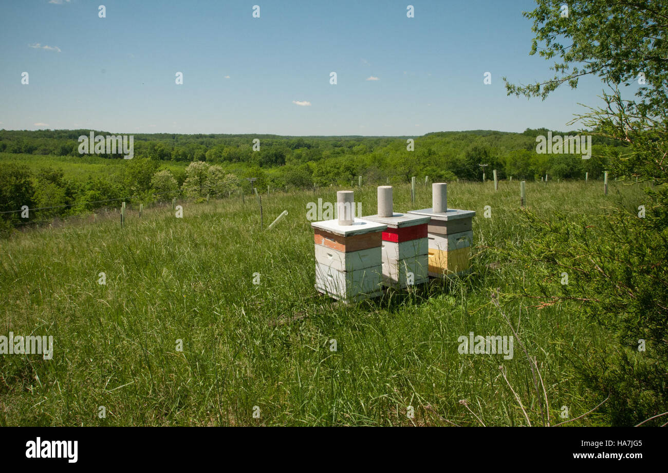 Usdagov 5707363862 20110505-RD-LSC-0759 Stockfoto