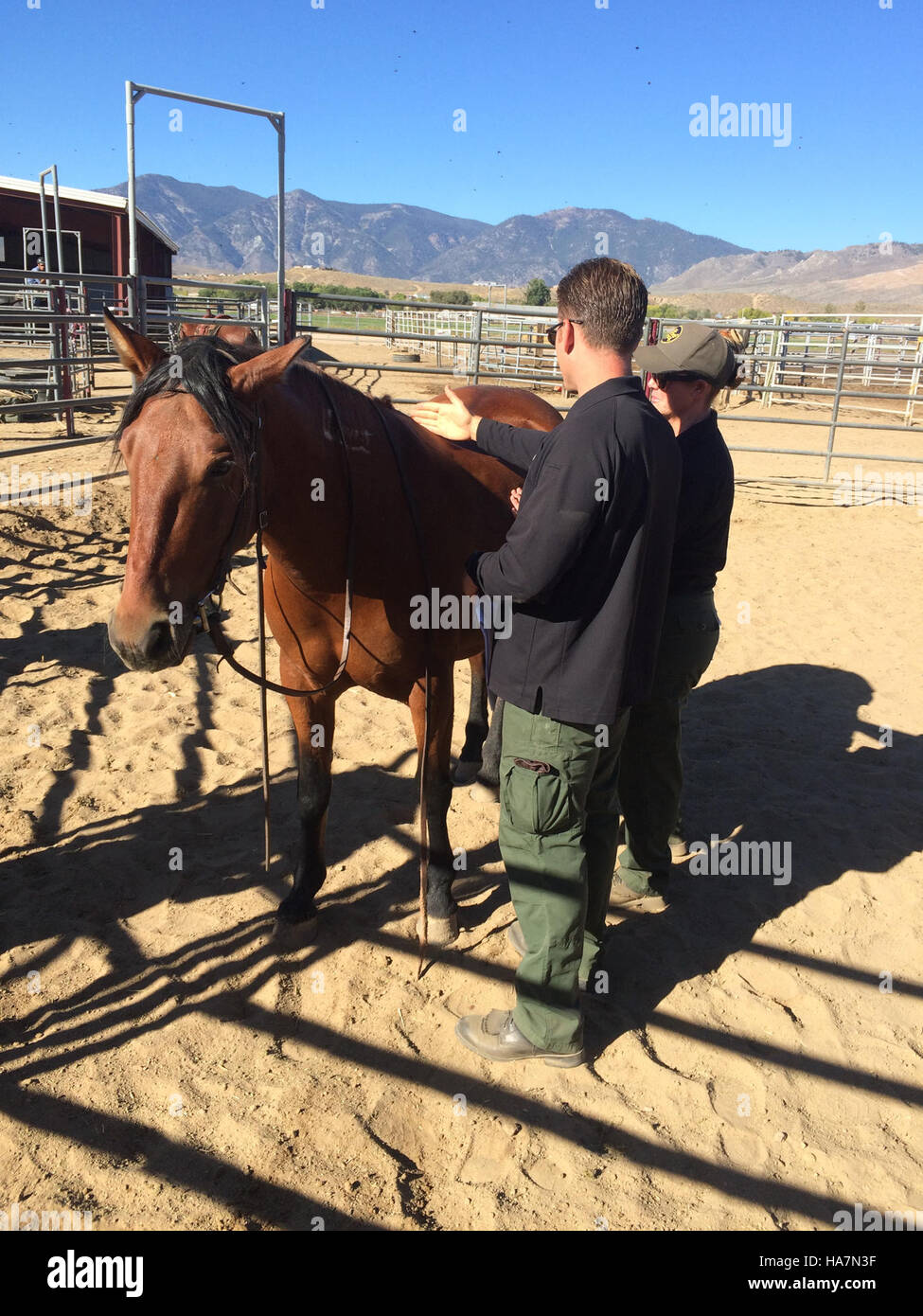Ein atemberaubendes Bild der natürlichen Landschaft, das die harmonische Interaktion zwischen Natur und Umgebung zeigt. Diese Szene zeigt, wie wichtig politische Entscheidungen für die Erhaltung dieser Gebiete für künftige Generationen sind. Stockfoto