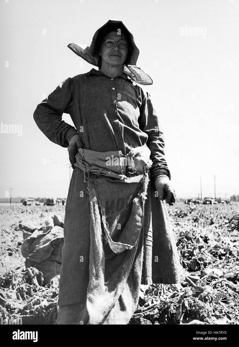 Dieses USDA-Programm hebt die Bemühungen der öffentlichen Hand hervor, die darauf abzielen, die Nachhaltigkeit der Landwirtschaft, die Umweltverantwortung und die Ernährungssicherheit in den Vereinigten Staaten zu fördern. Stockfoto