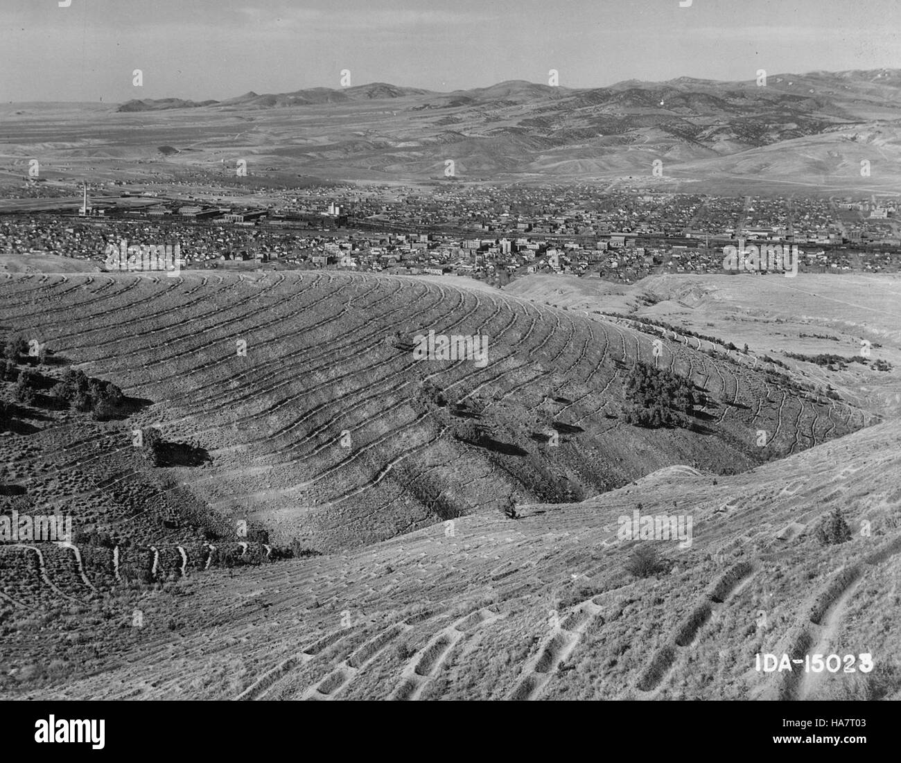 Das USDA konzentriert sich auf wissenschaftliche Forschung im Zusammenhang mit Waldgesundheit und Landbewirtschaftungspraktiken. Diese Arbeit umfasst die Untersuchung von Waldökosystemen und zielt darauf ab, Umweltbedrohungen wie invasive Arten und den Klimawandel abzuschwächen. Stockfoto