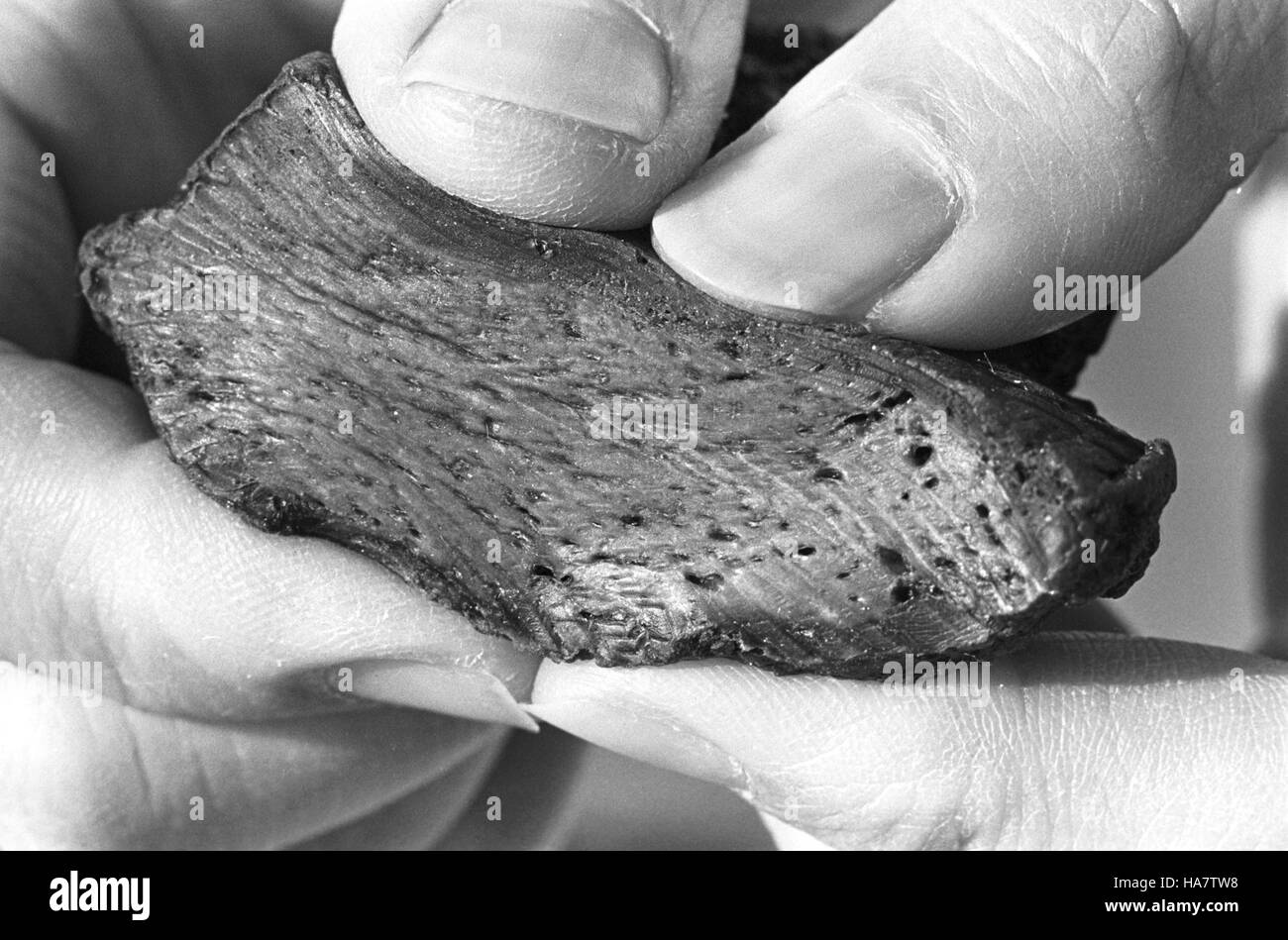 Das USDA feiert sein 150-jähriges Bestehen mit einem Schwerpunkt auf nachhaltigen landwirtschaftlichen Praktiken, Umweltschutz und Fortschritte in der Ernährungssicherheit Stockfoto