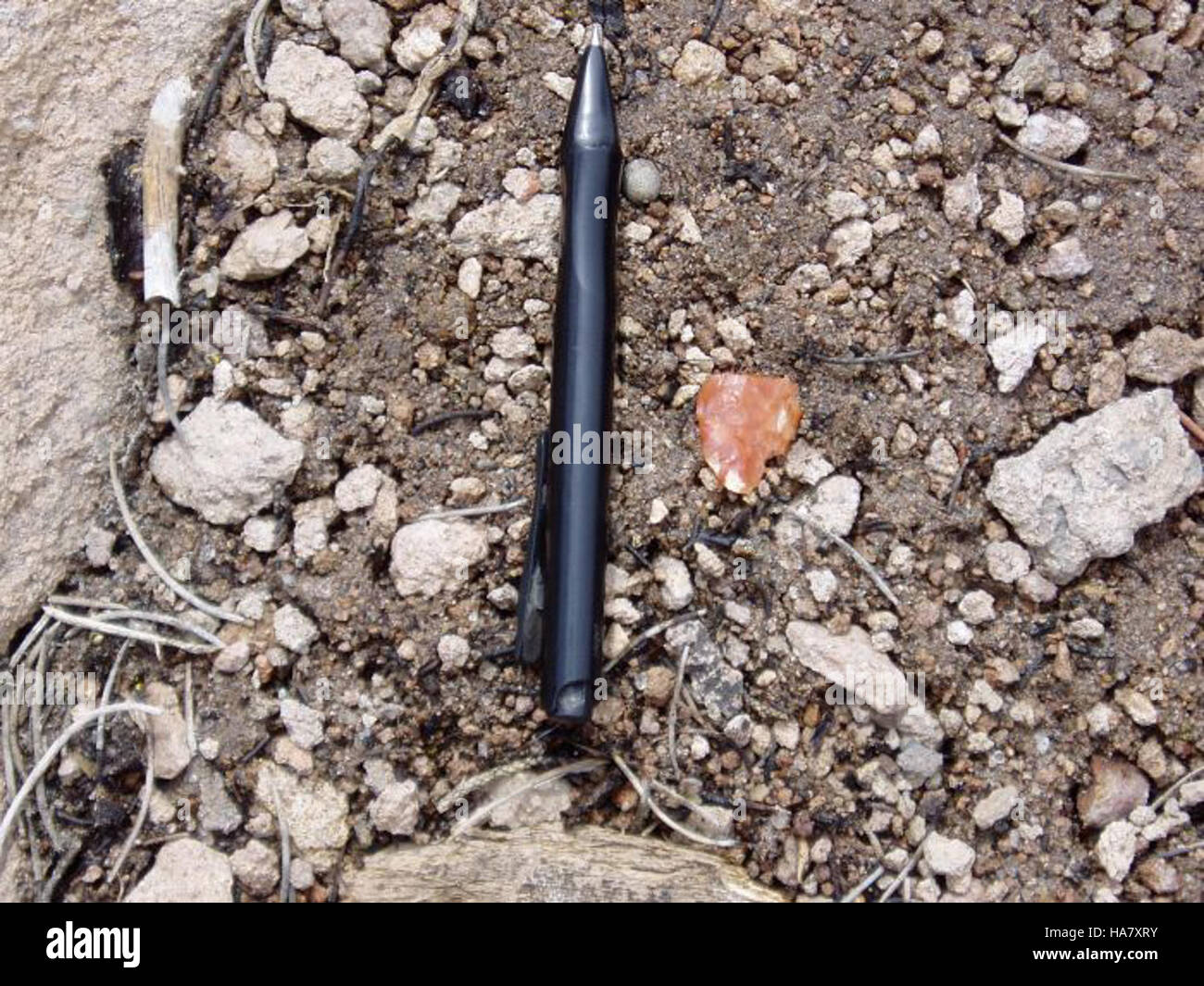 Ein Bild von Big Rocks Wilderness, einem geschützten Gebiet in Nevada, das sein raues Gelände, seine vielfältige Tierwelt und seine ökologische Bedeutung für den Schutz der Tiere zeigt. Stockfoto