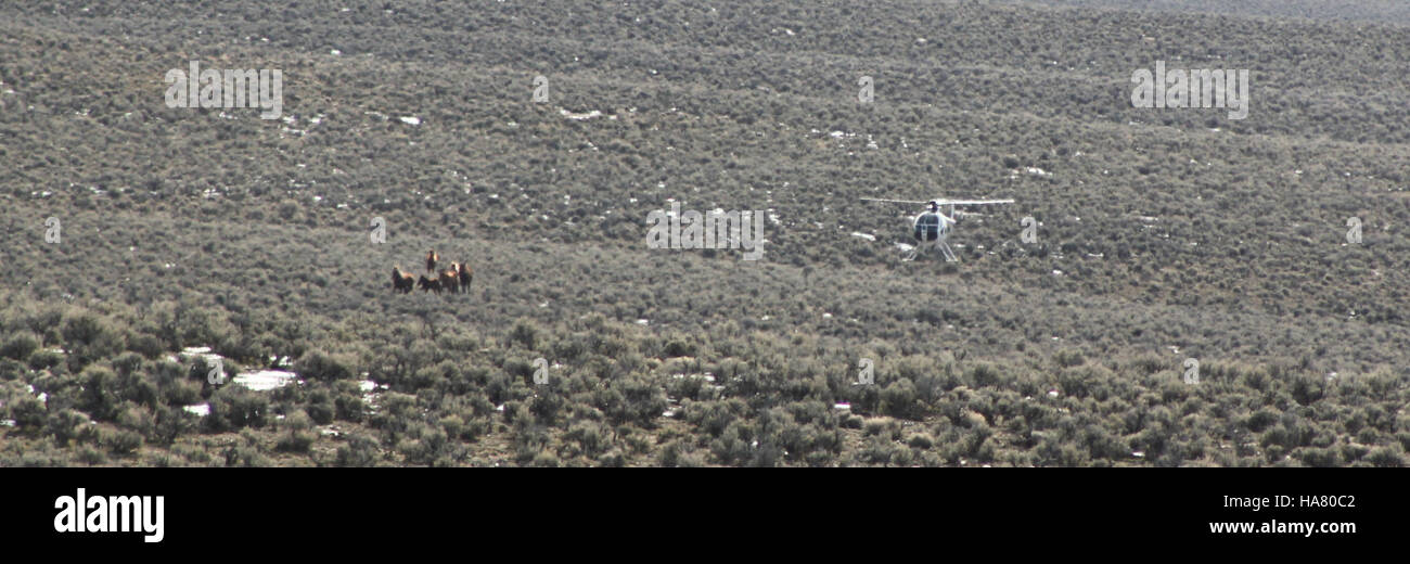 Blmnevada 5408378834 Foto Sequenz 1 - 18. Januar 2011 Stockfoto