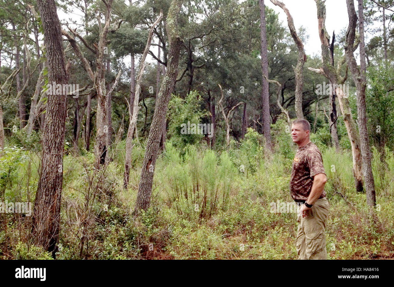 Steve Barlow, im Levy County, Florida, präsentiert eine Initiative zur Wiederherstellung von Lebensräumen von Langblatt-Kiefern im Rahmen des Wildlife and Longleaf Pine Forest Program, um die Biodiversität und den Schutz von Nationalparks zu unterstützen. Stockfoto