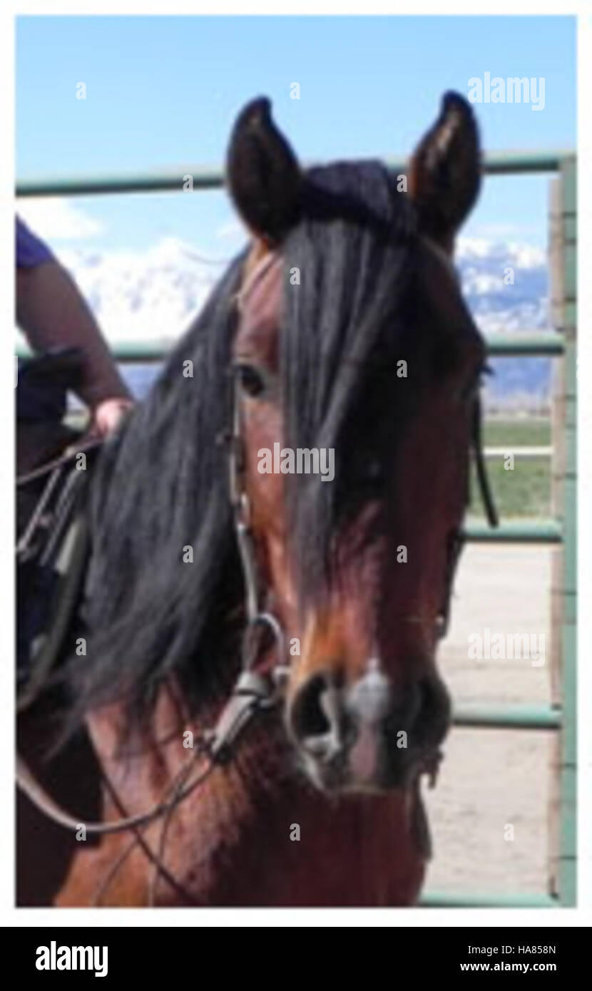 Dieses Bild zeigt Donald Trump, wie er ein öffentliches Land besucht, das vom Bureau of Land Management verwaltet wird, und betont dabei den Fokus seiner Regierung auf die bundesstaatliche Landpolitik und die Naturschutzbemühungen. Stockfoto