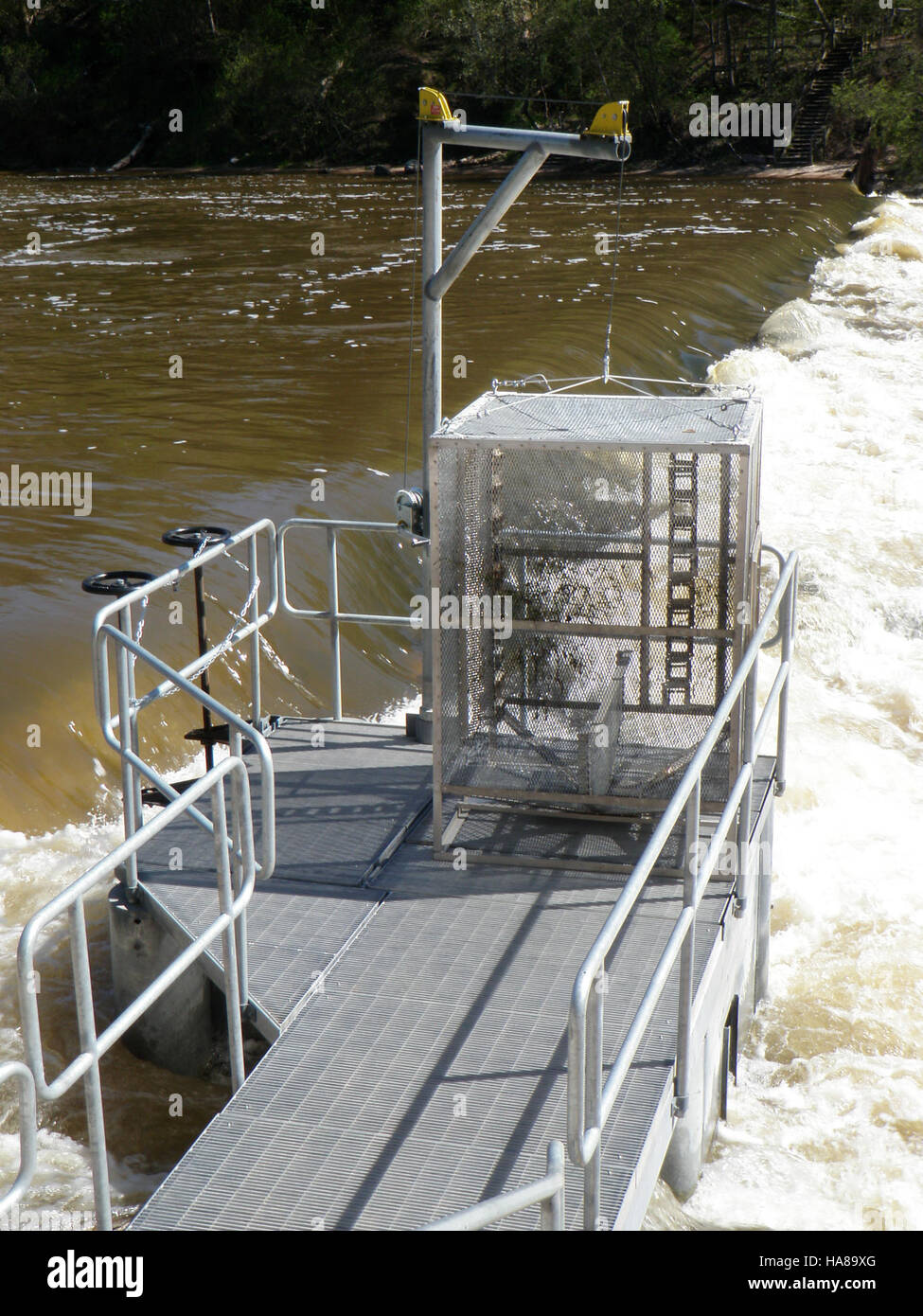 Der Big Manistee River in Michigan ist die Heimat von Wildtierbewirtschaftungsprojekten, einschließlich einer Fanginitiative zur Erforschung und Bewirtschaftung von Fisch- und Wildpopulationen für ein ökologisches Gleichgewicht. Stockfoto