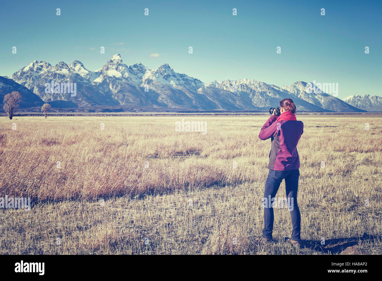 Vintage durchtrainierten weiblichen Fit Wanderer fotografieren mit DSLR-Kamera in den Grand Teton Nationalpark, Wyoming, USA. Stockfoto