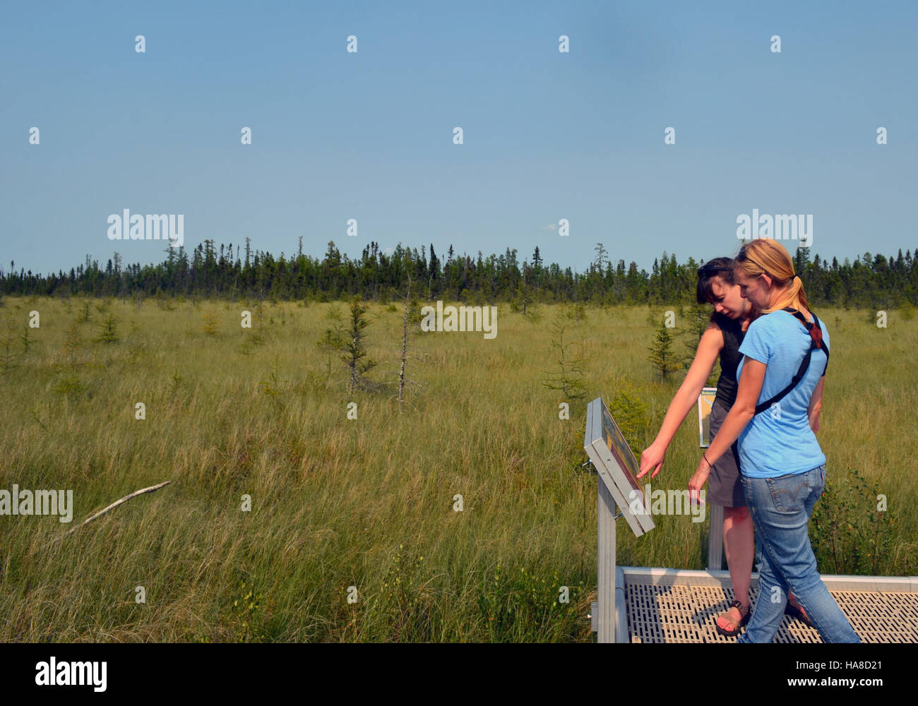 In Big Bog werden Besucher an Bildungsprogrammen über die lokale Tierwelt, Ökosysteme und Naturschutzmaßnahmen teilnehmen. Das Gebiet ist ein hervorragender Ort für die Beobachtung verschiedener Arten und die Förderung der Artenvielfalt. Stockfoto