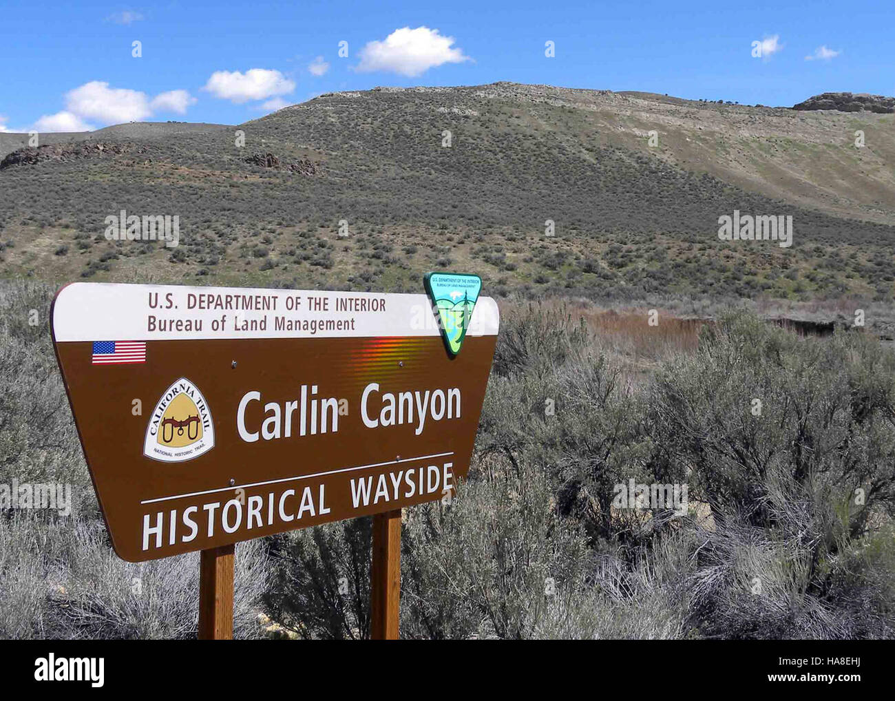 Blmnevada 6288961539 Carlin Canyon Stockfoto