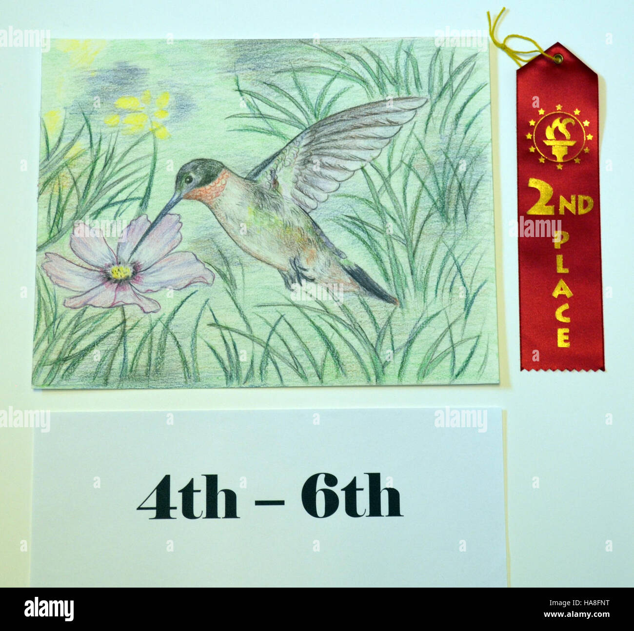 Eine Fotografie eines Kolibri mit Rubinkehle, aufgenommen von Emily Ma, mit seinen lebhaften Farben und zarten Merkmalen, aufgenommen im Mittleren Westen der Vereinigten Staaten. Stockfoto