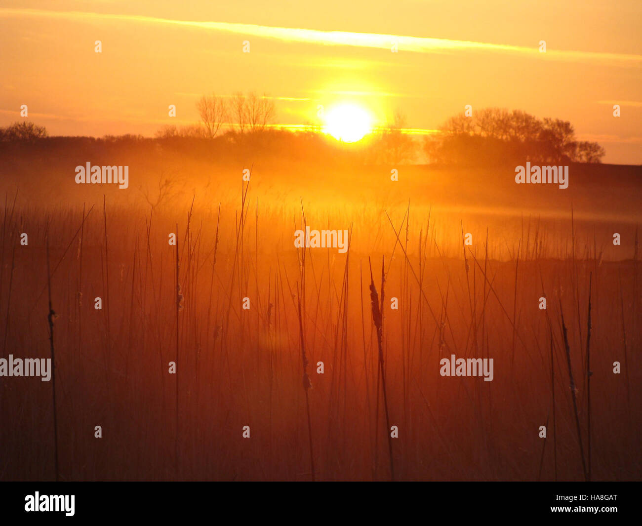 Ein Sonnenaufgang über dem Marsch im Big Stone County, Minnesota, zeigt die natürliche Schönheit der Landschaft und unterstreicht die Bemühungen von HAPET und dem U.S. Fish and Wildlife Service zur Erhaltung von Feuchtgebieten. Stockfoto