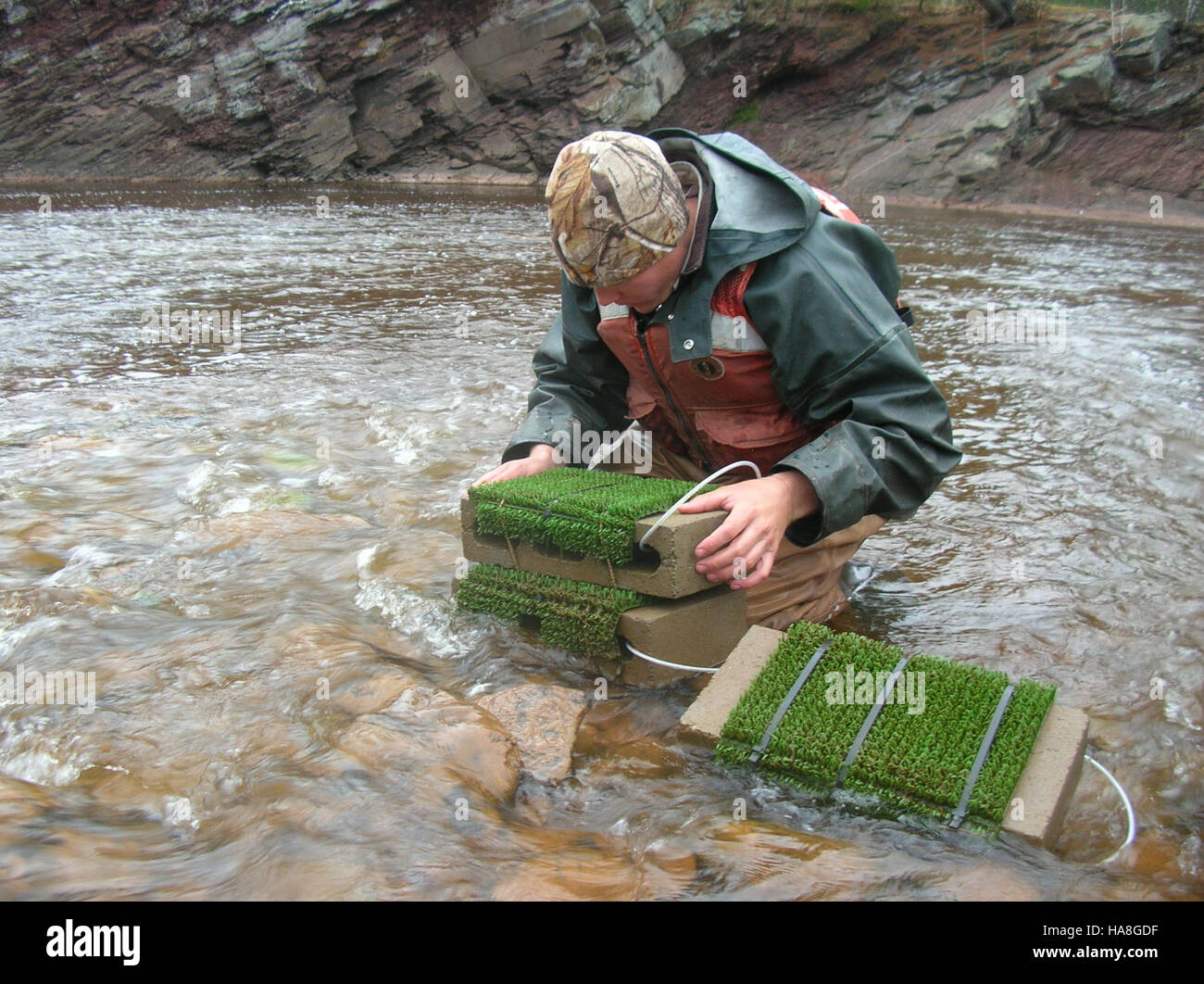 Dieses Bild zeigt Josh Schloesser, der bei den Bad River Lower Falls eine Überprüfung der Eimatten durchführt, die Teil der Bemühungen des U.S. Fish and Wildlife Service ist, Wasserarten zu beobachten und Fischpopulationen im Nationalpark zu schützen. Stockfoto