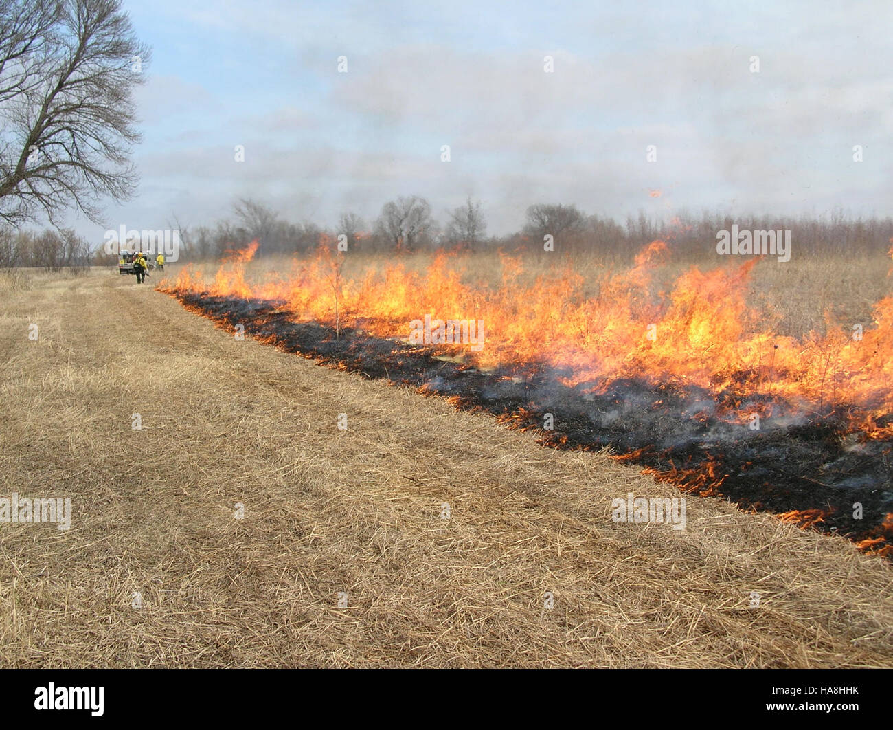 Usfwsmidwest 5595641230 bestimmungsgemäße brennen bei Rothaarige Wasservögel Produktionsfläche von Minnesota Tal Feuchtgebiet Management District Stockfoto