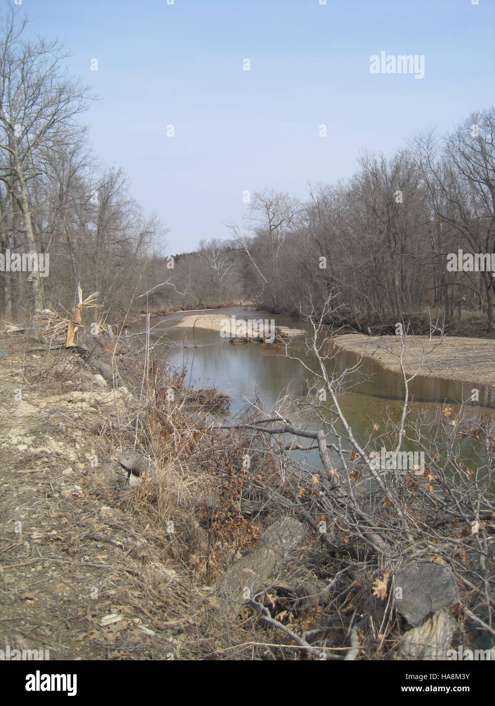 Das Ambrose-Projekt konzentriert sich auf ökologische Restaurierungsbemühungen in einem Nationalpark zur Verbesserung der Lebensraumqualität und Biodiversität. Dieses „vorher“-Bild erfasst den Zustand der Umwelt vor den Erhaltungsmaßnahmen und unterstreicht die Notwendigkeit von Maßnahmen zum Schutz der Ökosysteme und Wildtierpopulationen. Stockfoto