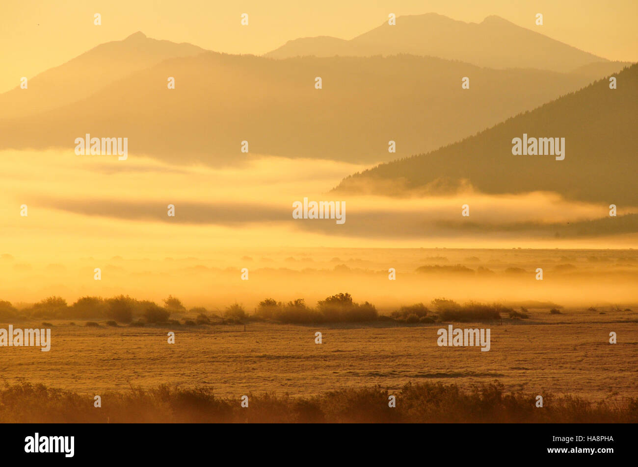 Dieses Foto fängt die ruhige Schönheit eines nebeligen Sonnenaufgangs im Red Rock Lakes National Wildlife Refuge ein und zeigt die ruhige, natürliche Landschaft der Region bei Morgenlicht. Stockfoto