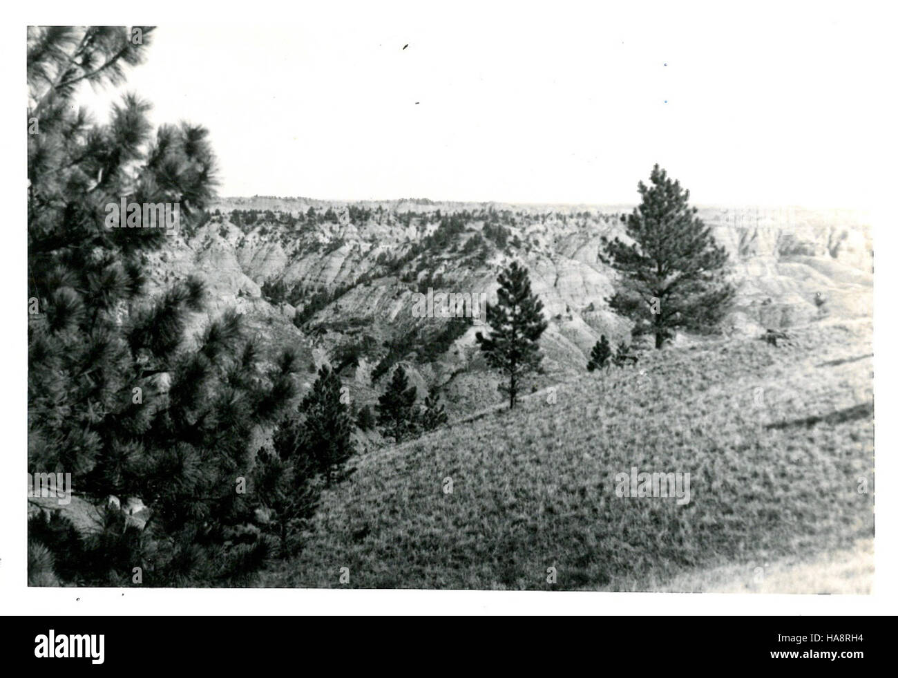 Usfwsmtnprairie 14524677939 1949, 23. Sept - Hazeltine - eine Ansicht des Bereichs Spiel in Doney Coulee Bereich Stockfoto