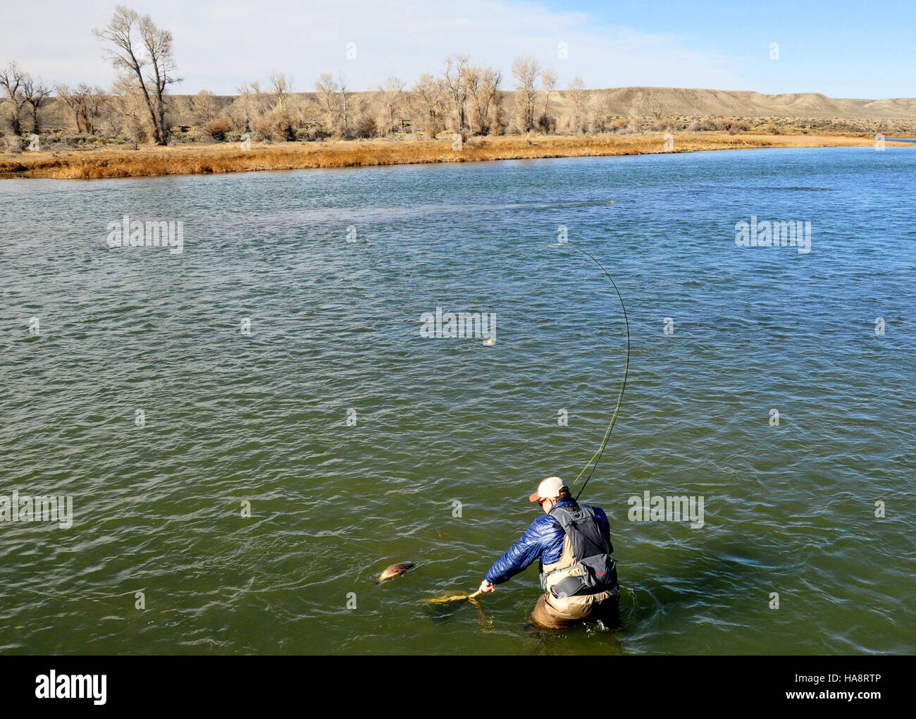 Das Flyfishing im Seedskadee National Wildlife Refuge bietet eine friedliche Möglichkeit, die vielfältigen Ökosysteme des Parks zu erleben und gleichzeitig zur Erhaltung der lokalen aquatischen Lebensräume beizutragen. Stockfoto