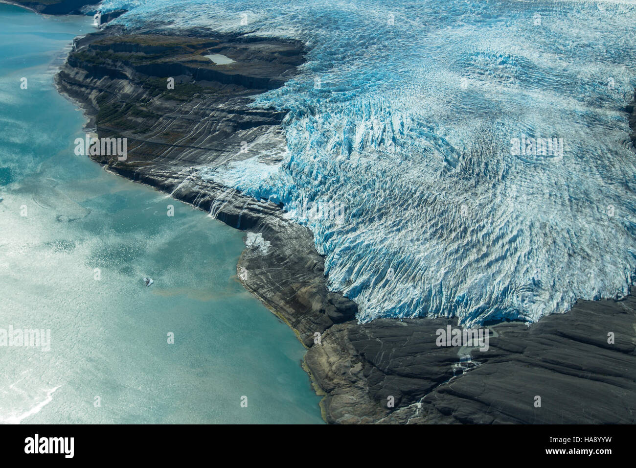 Der Guyot-Gletscher und die Icy Bay im Nationalpark Alaskas bieten einen atemberaubenden Blick auf die natürliche Landschaft und zeigen die Gletscher- und Meeresumwelt der Region. Der Park ist bekannt für seine dynamischen Gletscher, seine vielfältige Tierwelt und seine unberührten Ökosysteme. Stockfoto