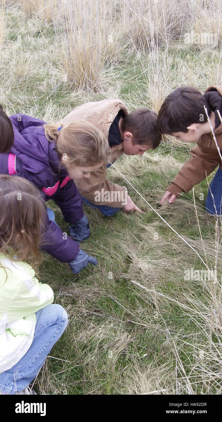 Usfwsmtnprairie 5285797915 folgen diesem Fußabdruck Stockfoto