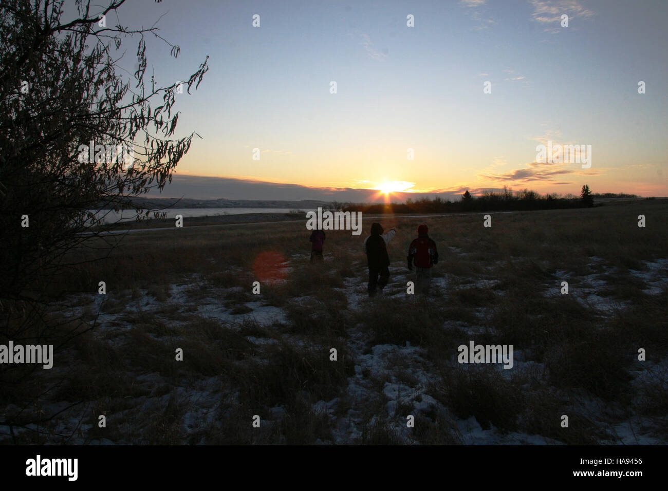 Drei Wildtierforscher beteiligen sich an der Suche nach den „Big Bird“-Arten in einem Nationalpark und tragen so zum Schutz der Tierwelt und zu Umweltstudien bei. Stockfoto