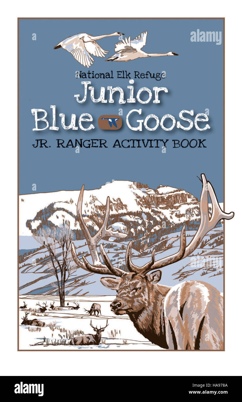 Die Jr. Das Blue Goose Program ist eine Initiative des US-amerikanischen Fish and Wildlife Service, die sich darauf konzentriert, junge Menschen über den Schutz der Tierwelt zu informieren. Ziel des Programms ist es, ein Verständnis für die Bedeutung der Erhaltung natürlicher Lebensräume zu fördern und junge Menschen durch verschiedene Aktivitäten im Zusammenhang mit Wildtieren und Umweltverantwortung zu motivieren. Stockfoto
