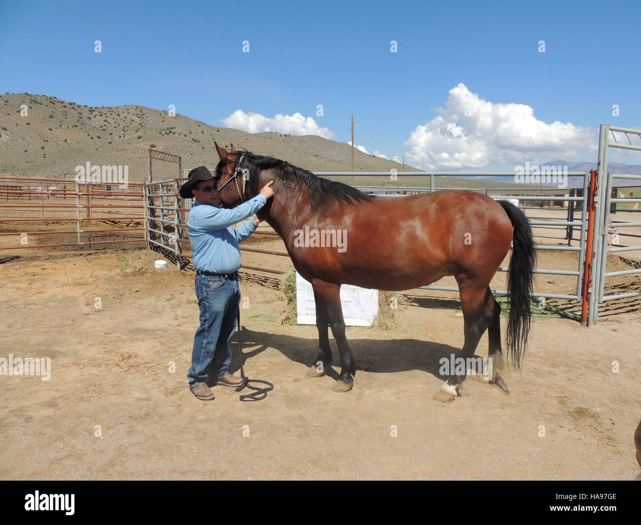 Dieses Bild zeigt einen Besuch einer prominenten Persönlichkeit, Sepulveda, im PVC und zeigt Interaktionen und Aktivitäten während der Veranstaltung. Der Kontext des Besuchs unterstreicht seine Bedeutung und seinen Zweck in einer historischen oder aktuellen Umgebung. Stockfoto