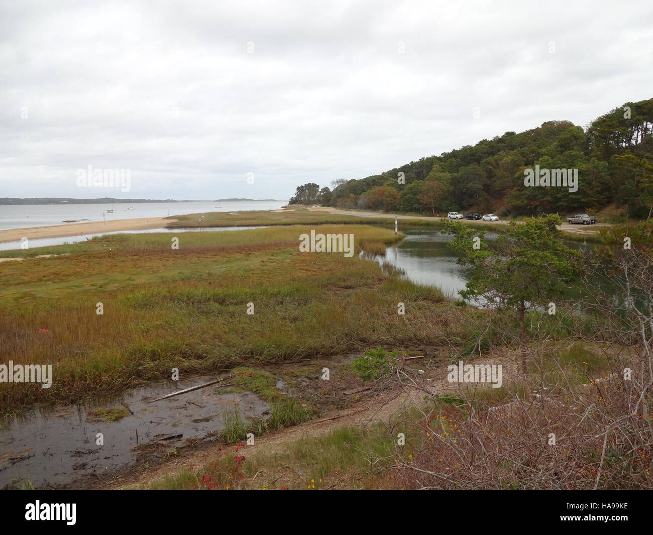 Gezeitenmoore in der Nähe des Muddy Creek im Nordosten bieten einen wichtigen Lebensraum für eine Vielzahl von Vogelarten. Diese empfindliche Umwelt wird vom U.S. Fish and Wildlife Service geschützt, um ihre ökologische Bedeutung zu erhalten. Stockfoto