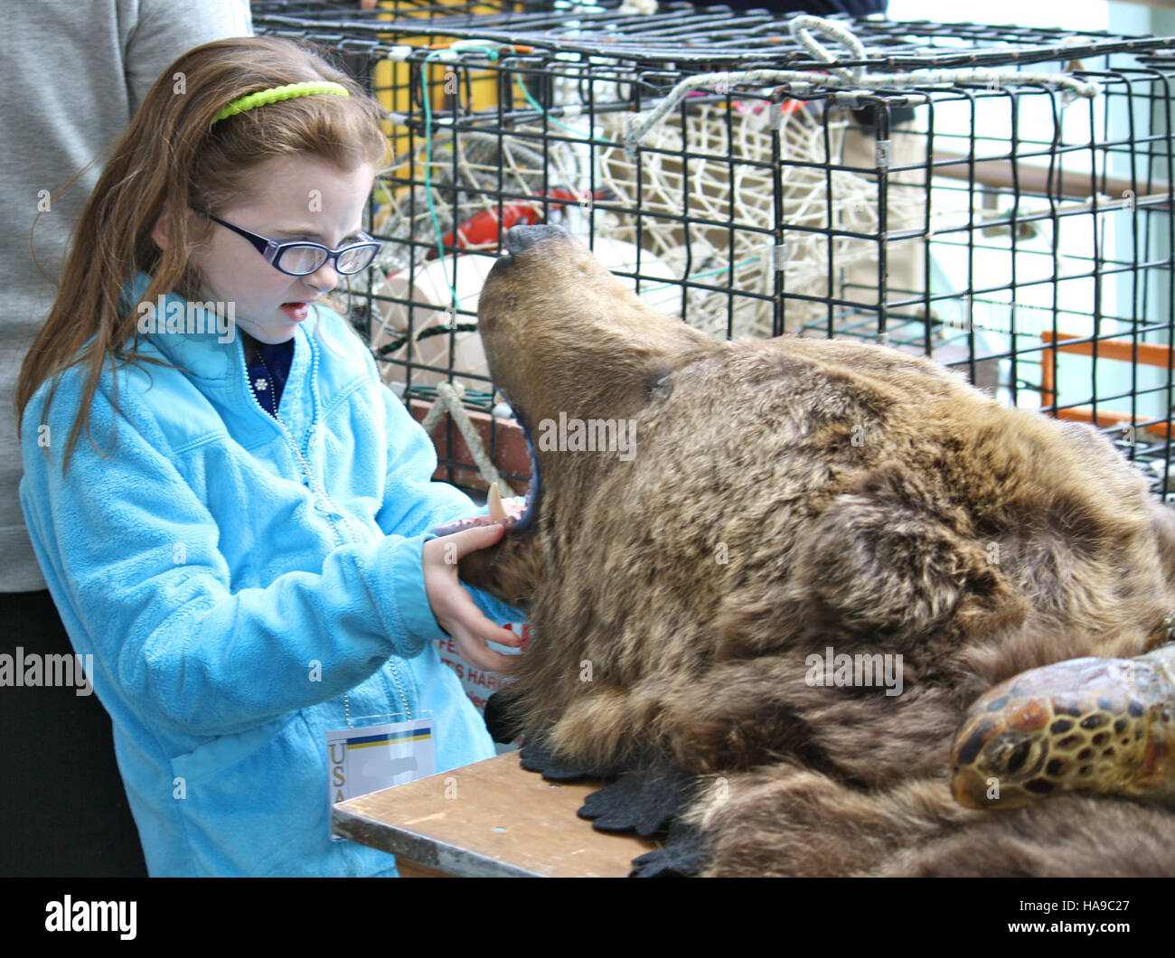 Eine historische Ausstellung mit Mädchen- und Bärenhaut in einem Nationalpark beleuchtet die Kultur- und Naturgeschichte, die in den Sammlungen des Parks aufbewahrt wird. Stockfoto